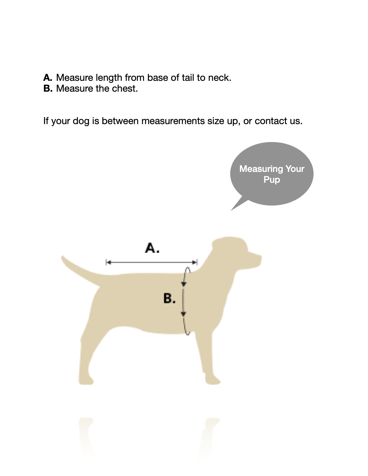 Measurement diagram. 